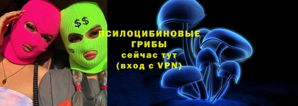 ешки Алексин