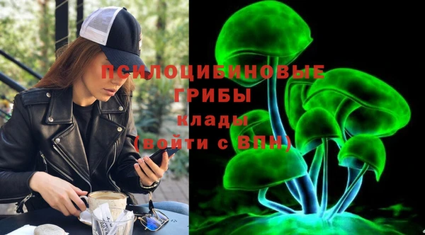 ешки Алексин
