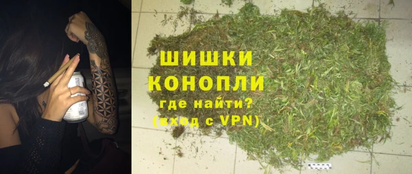 ешки Алексин